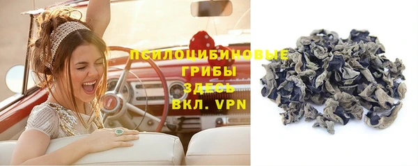 героин Богданович