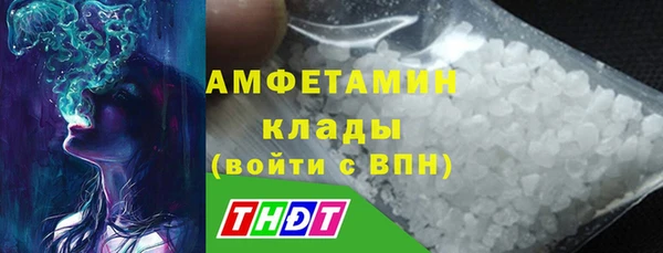 ГАЛЛЮЦИНОГЕННЫЕ ГРИБЫ Бородино