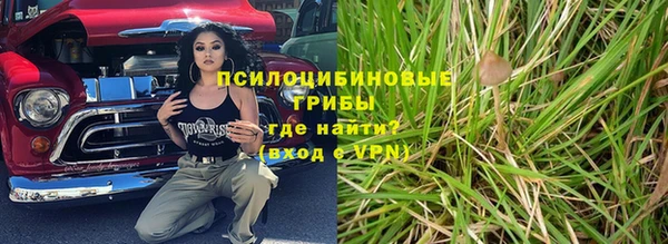 ГАЛЛЮЦИНОГЕННЫЕ ГРИБЫ Бородино