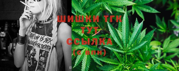 бошки Богородицк