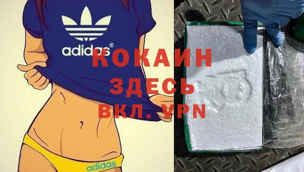 ГАЛЛЮЦИНОГЕННЫЕ ГРИБЫ Бородино